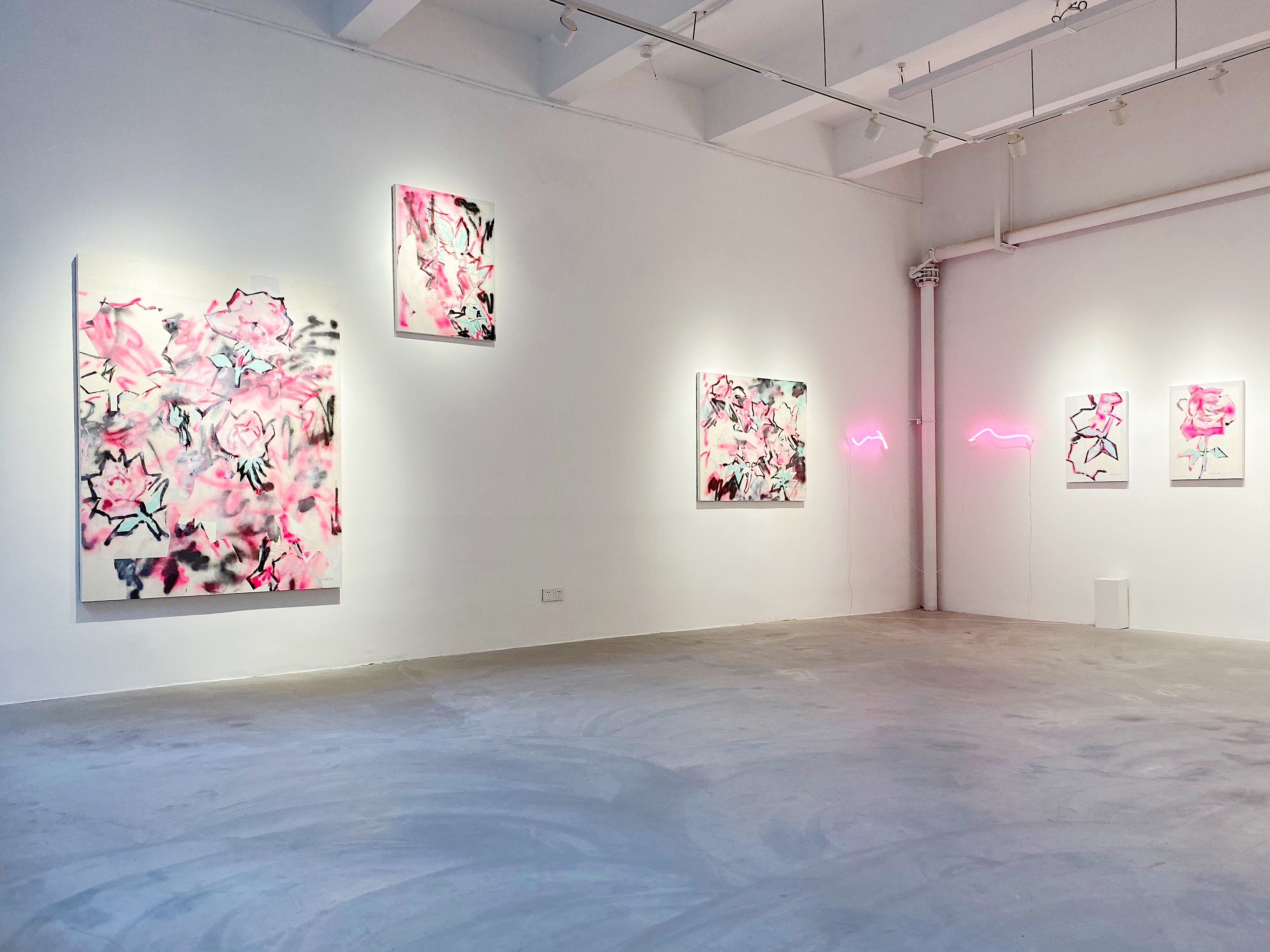 Installation view of The Phenomenon