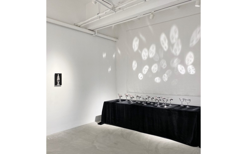 Installation view of The Phenomenon