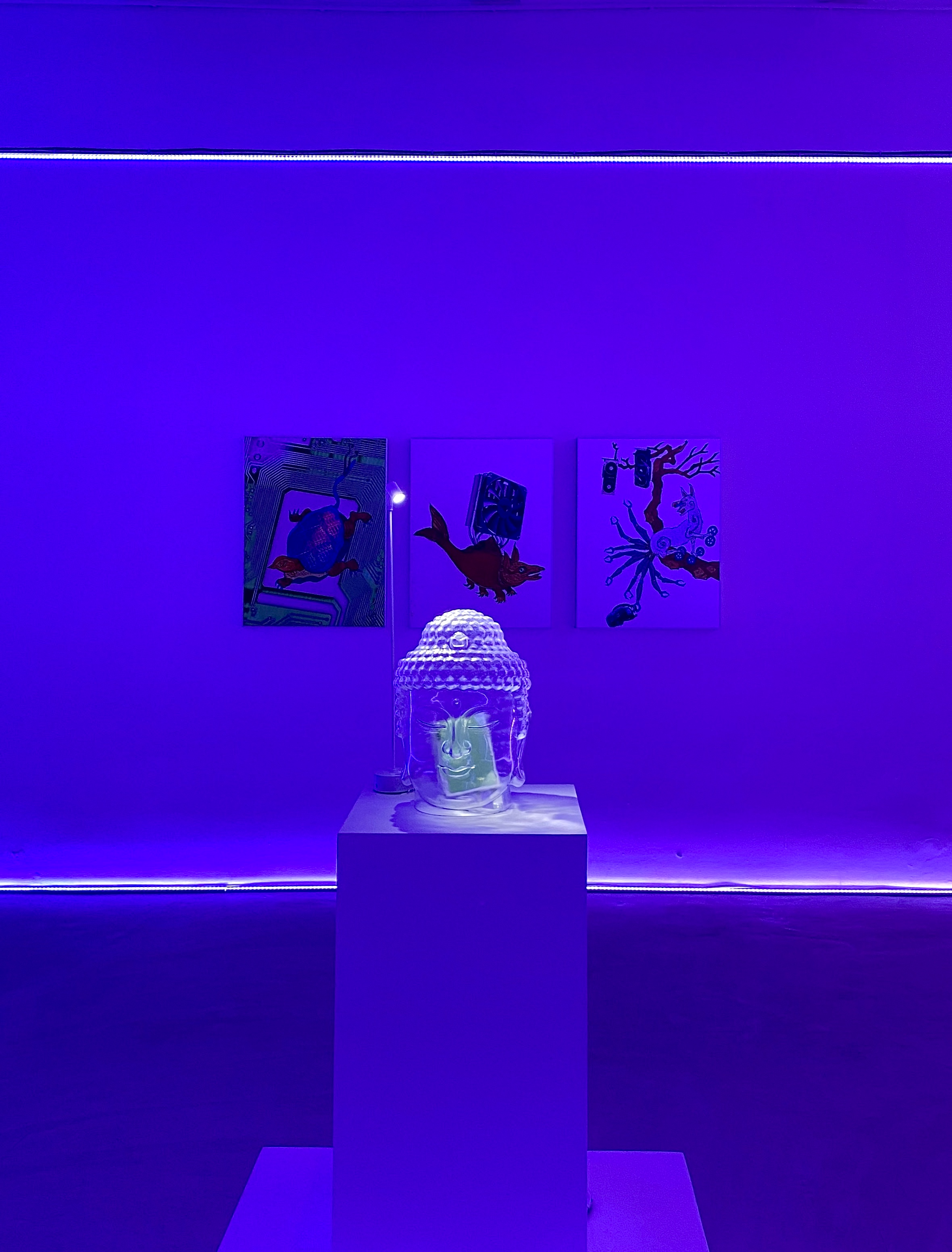 Installation view of Unproven Fallacy is Scientific