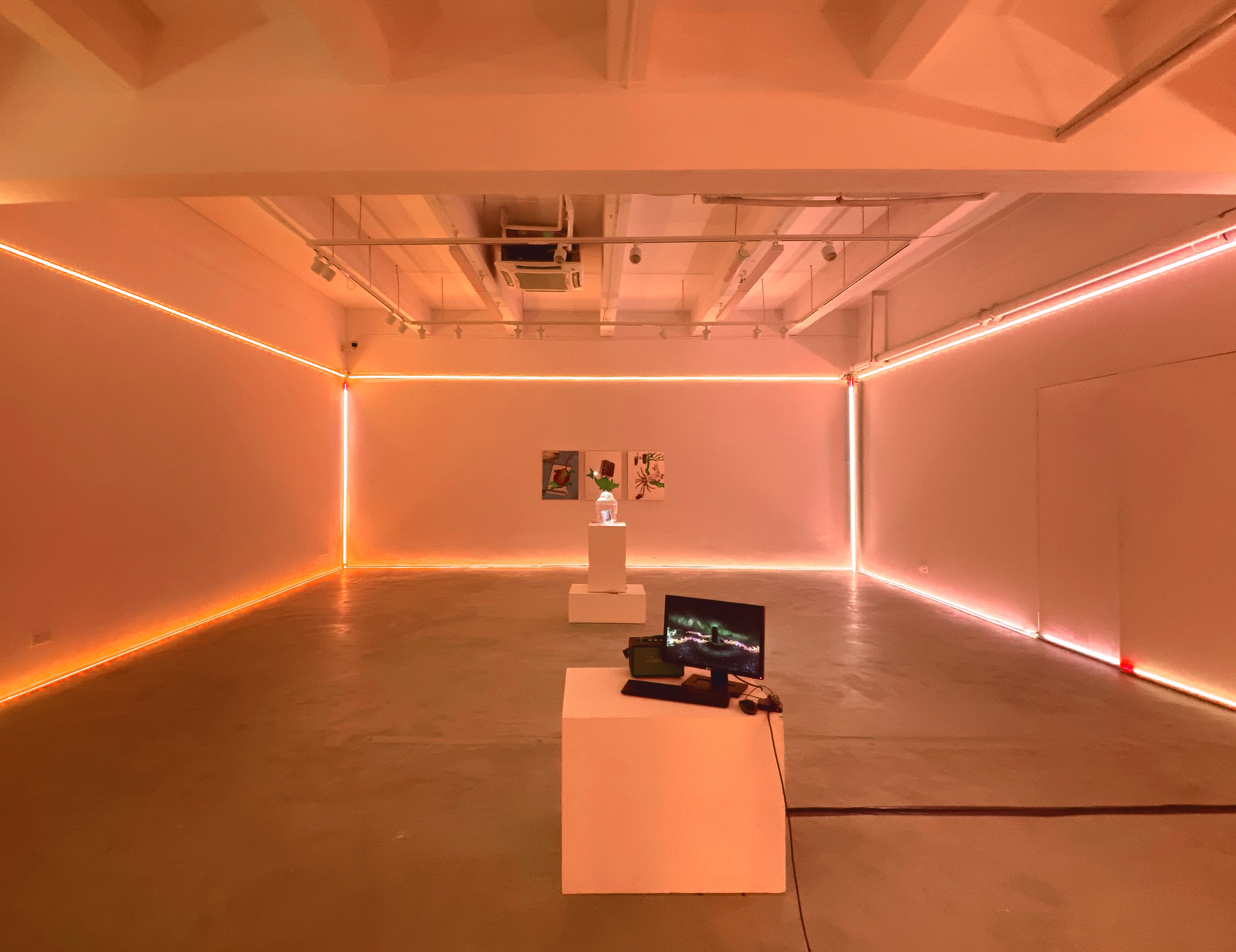 Installation view of Unproven Fallacy is Scientific