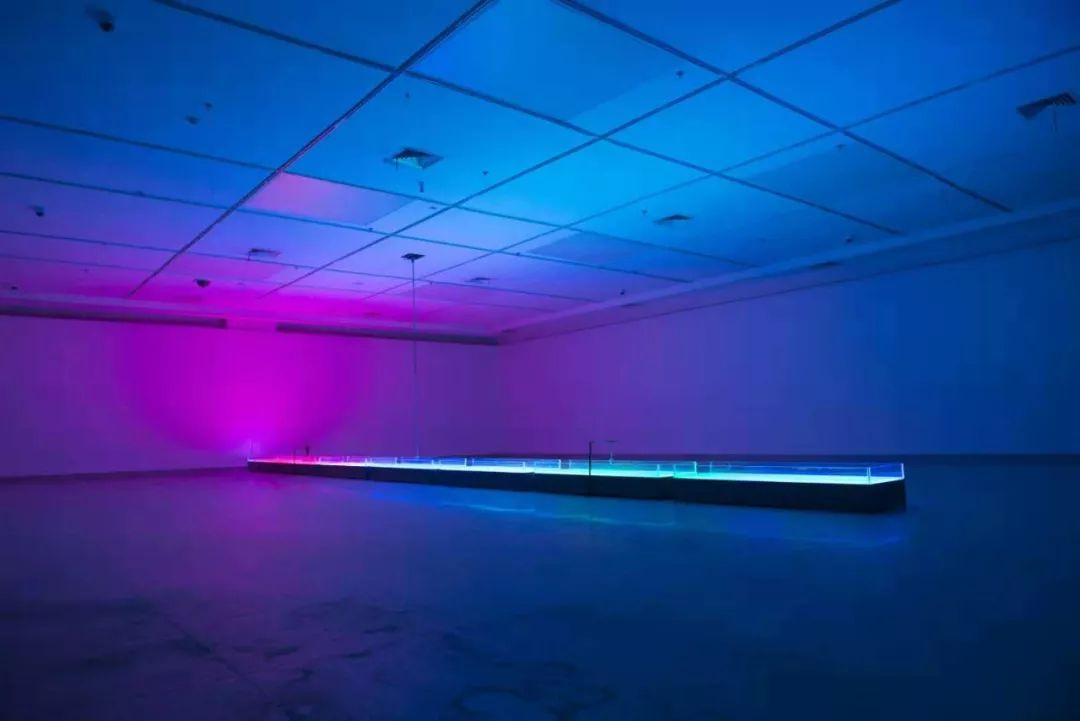 郑达,Data Pool,2018,1520 x 60 x 35cm,螺旋桨、微型电动机、水、Arduino、LED灯带、定制有机玻璃容器、控制系统、声音系统。 Courtesy to the artist and Quantum Gallery